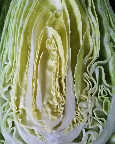 Cut face of sweetheart cabbage halved credit: Marie-Louise Avery  /  thePictureKitchen