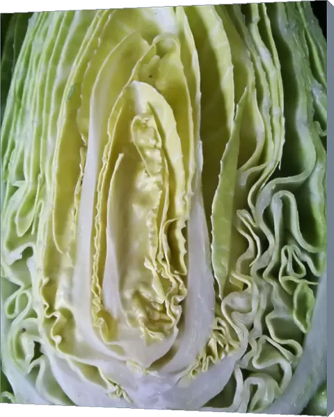 Cut face of sweetheart cabbage halved credit: Marie-Louise Avery  /  thePictureKitchen