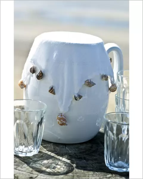 White jug with white fabric cover weighted with sea shells to keep insects out. credit