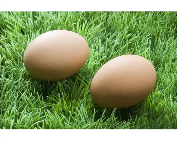 Two brown eggs on fake green plastic grass credit: Marie-Louise Avery  /  thePictureKitchen
