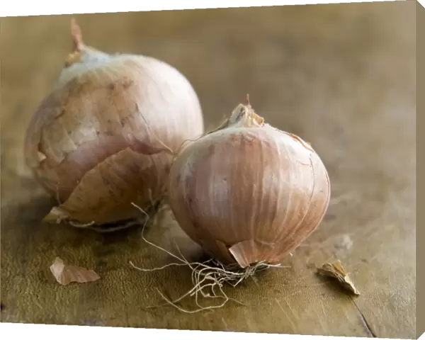Two whole small onions unpeeled on wooden board credit: Marie-Louise Avery  /  thePictureKitchen