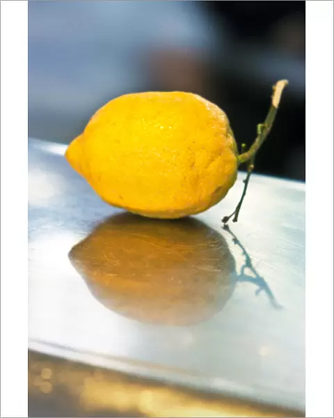 Single yellow lemon on stainless steel counter credit: Marie-Louise Avery  /  thePictureKitchen