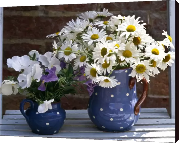 Daisies and pansies in spotted jug, on slatted blue chair. credit: Marie-Louise