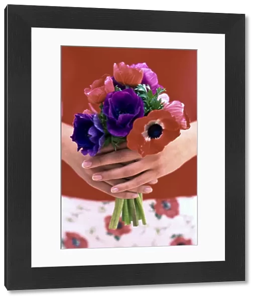 Posy of red, pink and mauve anemones held in hands credit: Marie-Louise Avery  / 