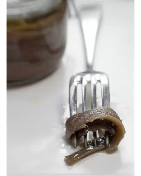 Fillets of anchovies in oil in preserving jar, with single fillet on a fork credit