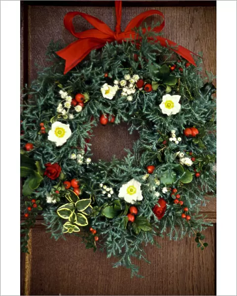 Evergreen christmas wreath with white christmas roses, rosehips, everlasting flowers
