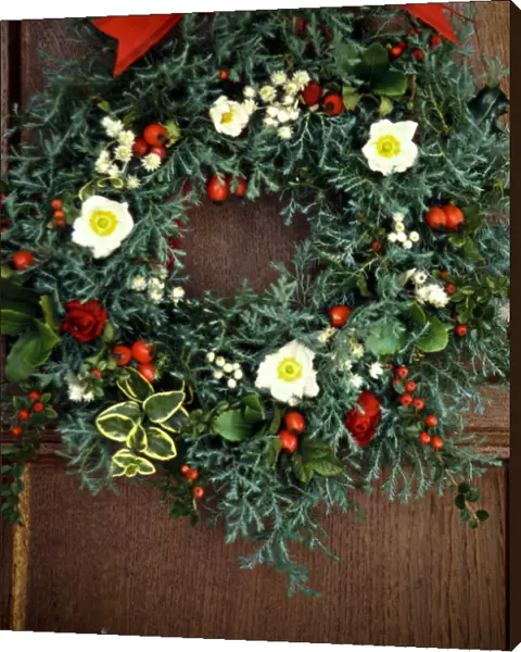 Evergreen christmas wreath with white christmas roses, rosehips, everlasting flowers