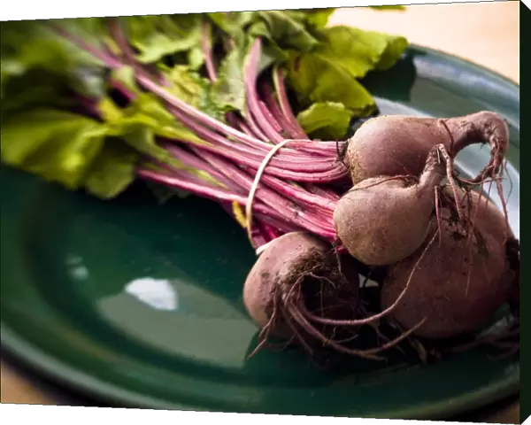 A bunch of freshly dug, whole beetroot on dark green plate. credit: Marie-Louise