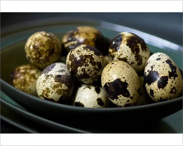 Quails eggs in their shells in dark green bowls stacked credit: Marie-Louise Avery