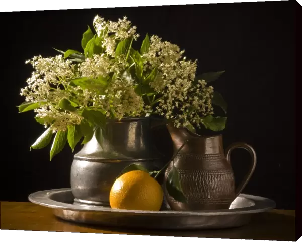 Elderflowers and orange with leaves on pewter charger with black background credit