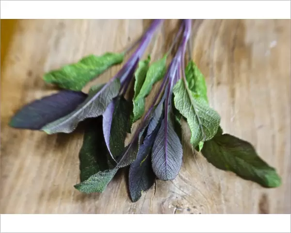 Freshly cut sprig of purple sage leaves on old wooden surface credit: Marie-Louise