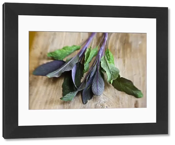 Freshly cut sprig of purple sage leaves on old wooden surface credit: Marie-Louise