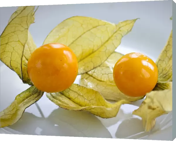 Two phthysalis fruits on white surface credit: Marie-Louise Avery  /  thePictureKitchen