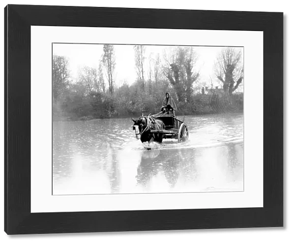 A farm labourer in Orpington Kent 1935 driving his horse and cart into the water