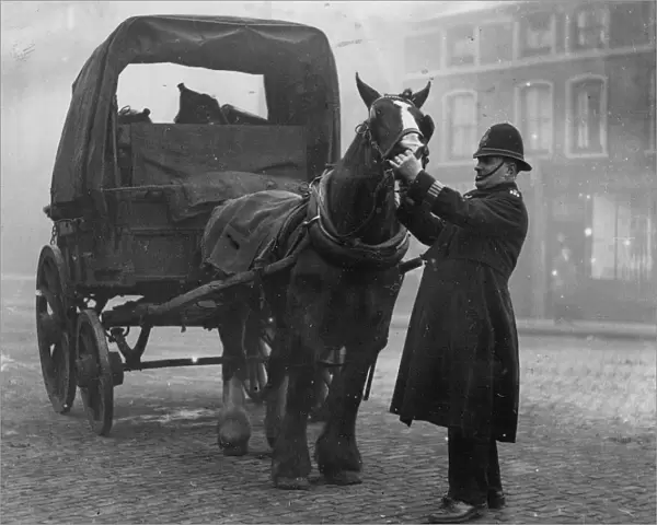Policeman Constable Kendal Dent East End of London inspecting a horses teeth to