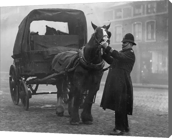 Policeman Constable Kendal Dent East End of London inspecting a horses teeth to