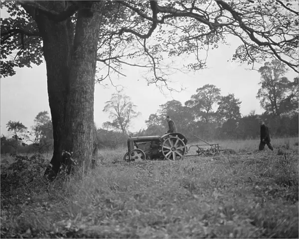 A tractor ploughing a cherry orchard in Charlton, London. 1939