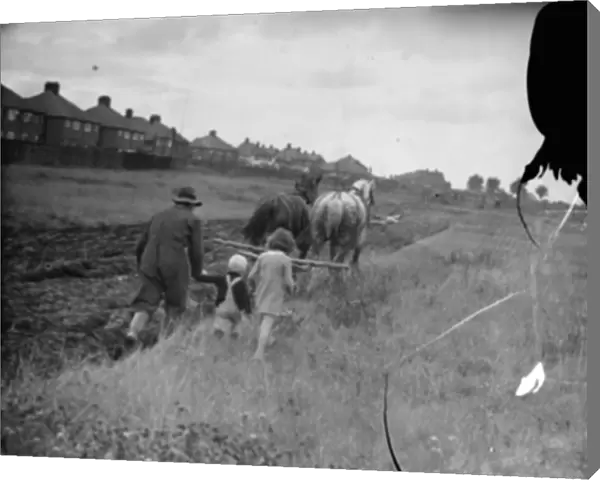 Children follow a farmer and his horse team ploughing a field in New Eltham, London