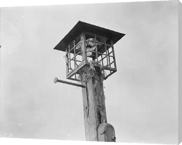 Sparrows nest in a street lamp. 1 April 1938