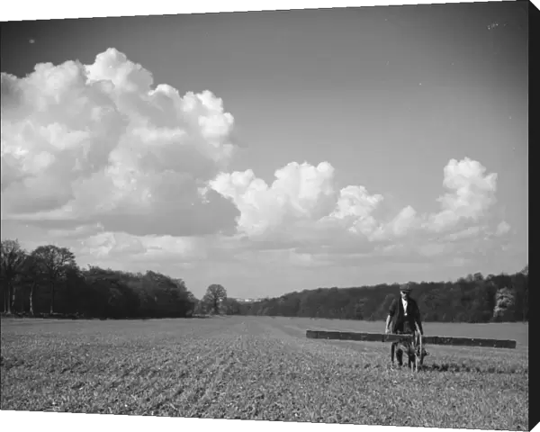A farmer boadcasting clovers on a field in North Cray, Kent. 1939