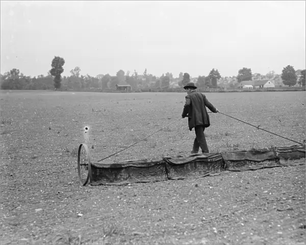 A groundsman pulls a rake over a field. 1936