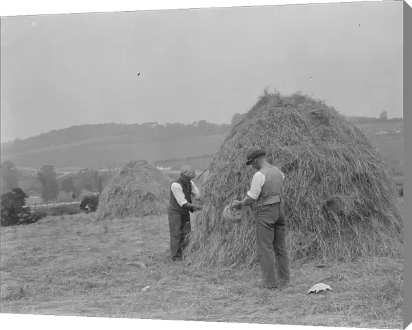 Farmers useing north country haymaking methods in a Farninham, Kent. 1937