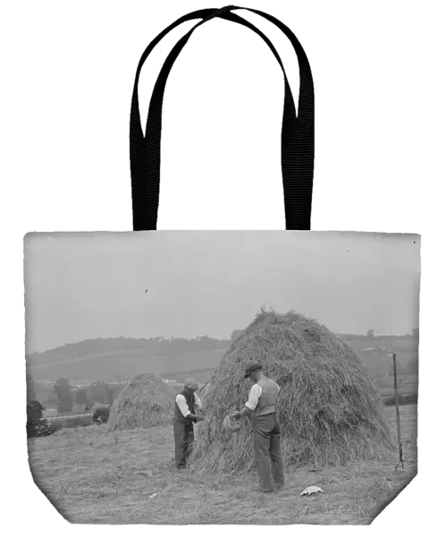 Farmers useing north country haymaking methods in a Farninham, Kent. 1937