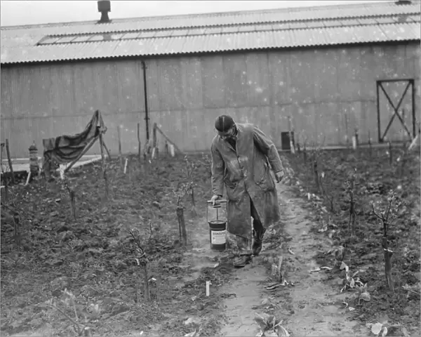 A man using Handimac ultraviolet ray light for killing bugs at the East Malling Research