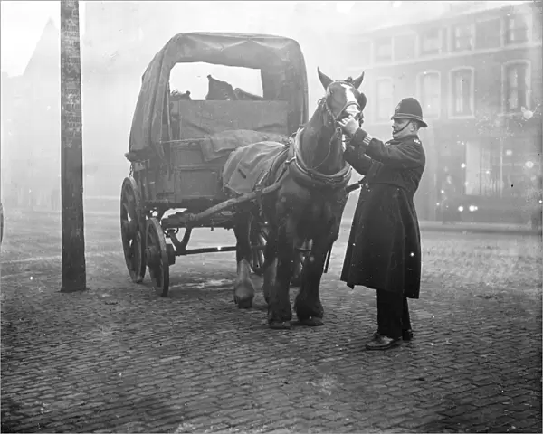 Policemen inspect a horse. (PC Dent) 1933