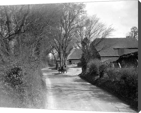 Horse and cart on a country lane. 1934