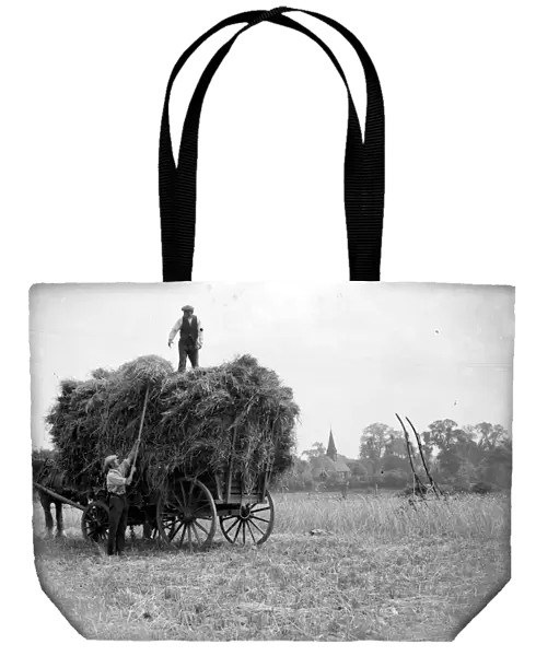 Harvest Scene, Foots Gray. 1934
