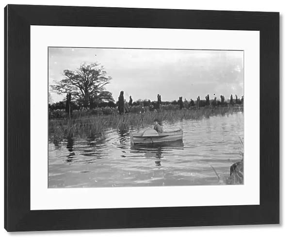 A young girl in a rowing boat on Scadbury Lake. 1939