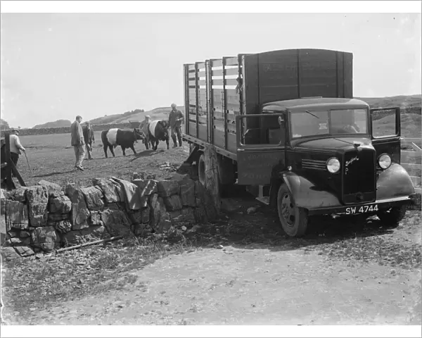 Bedford cattle truck. 1935