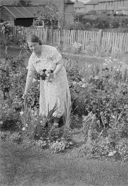 Mrs Es Hollands wins 1st prize garden competition, Dartford. 1937