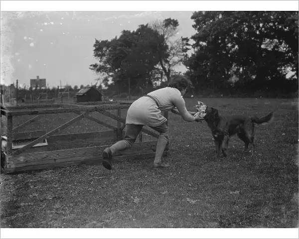 A woman and her dog retrieves chickens. 1935