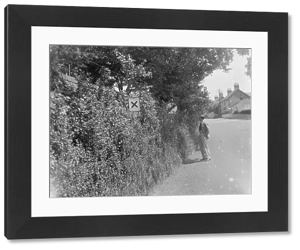 Road signs obscured by the over grown hedges in Farningham, Kent. 1937