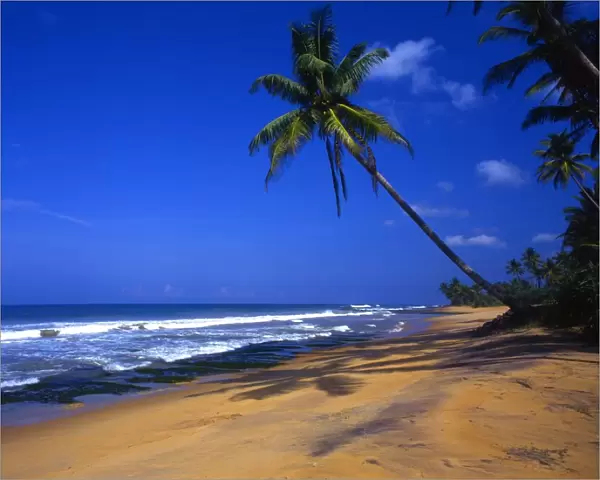 Beach near Welligama, on the island of Sri Lanka