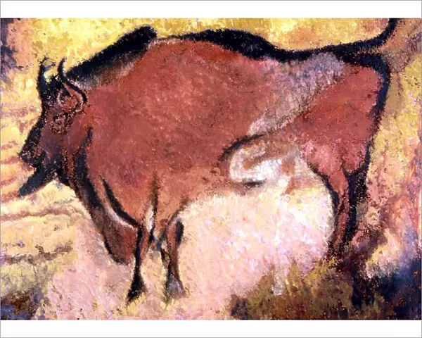 CAVE ART. Prehistoric painting of Bison on the walls of Lascaux cave