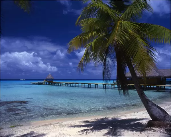 The island of Bora Bora, in Polynesia