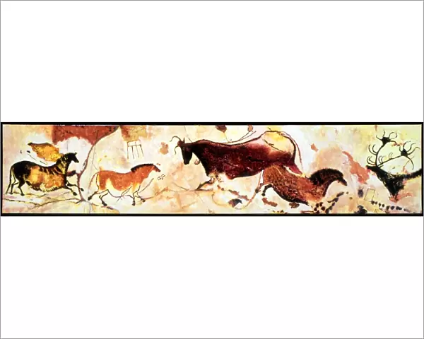 CAVE PAINTINGS Reconstruction of the prehistoric paintings of animals on one of the
