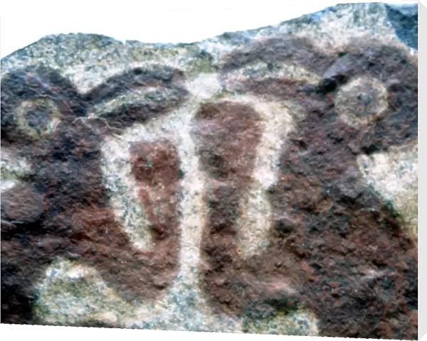 Easter Island Bird Cult Heads of two bird headed deities fresco fragment in the