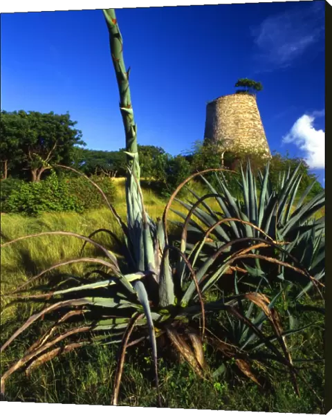 Old sugar mill on the island of Antigua [West Indies]