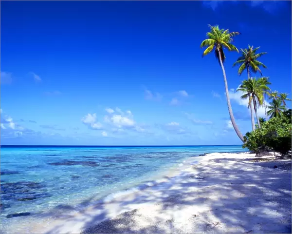 Tropical Islands. Maldives. Bandos
