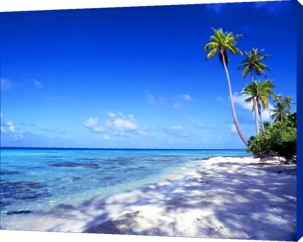 Tropical Islands. Maldives. Bandos