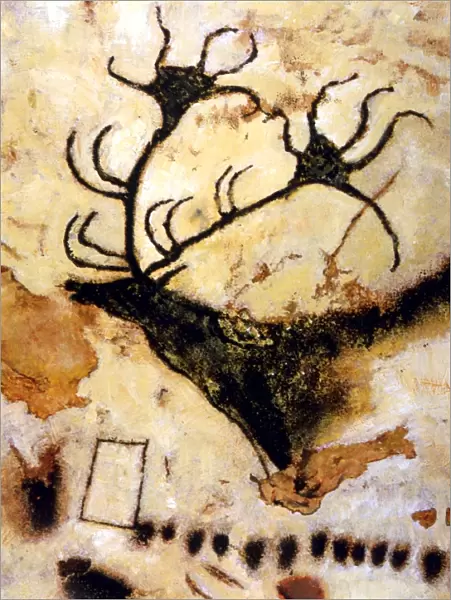 CAVE PAINTINGS Detail of cave paintings of a stag, from the Axial Gallery of Lascaux