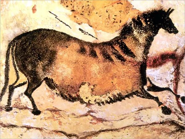 Cave Art - Lascaux - Prehistoric cave painting of running horse, from the cave system