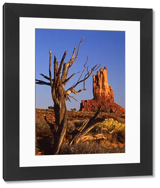 USA - Monument Valley - Utah, Arizona?TopFoto  /  CW