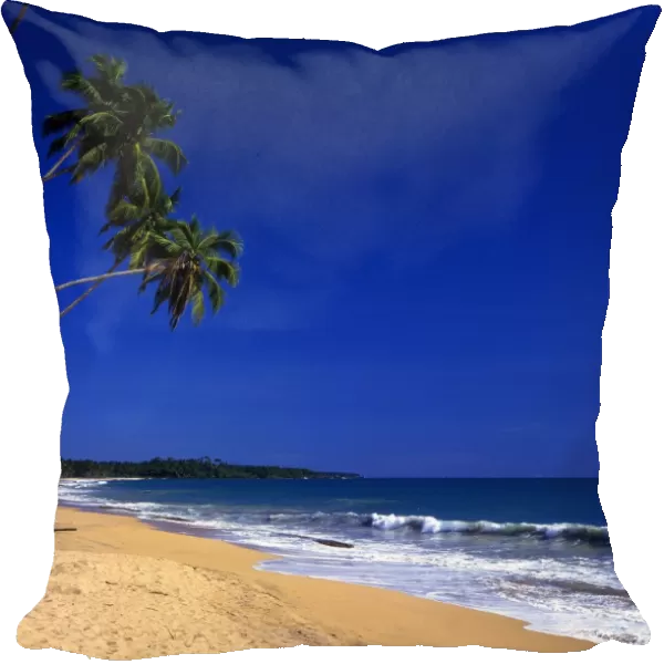 Tropical beauty. Sri Lanka. Welligama Beach