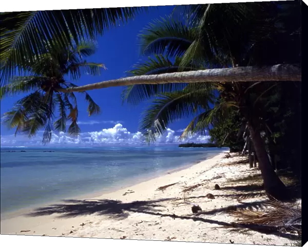 TROPICAL ISLANDS French Polynesea. beach scene on Morea, off Tahiti