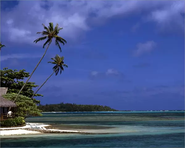 Polynesia Tahiti Moorea